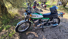 Camargue Alpilles 2025